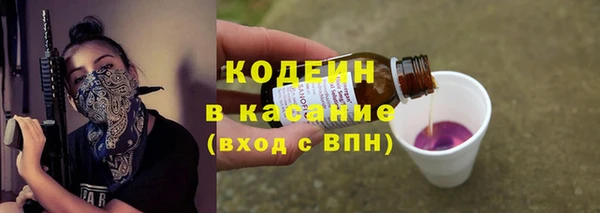 mdpv Бородино
