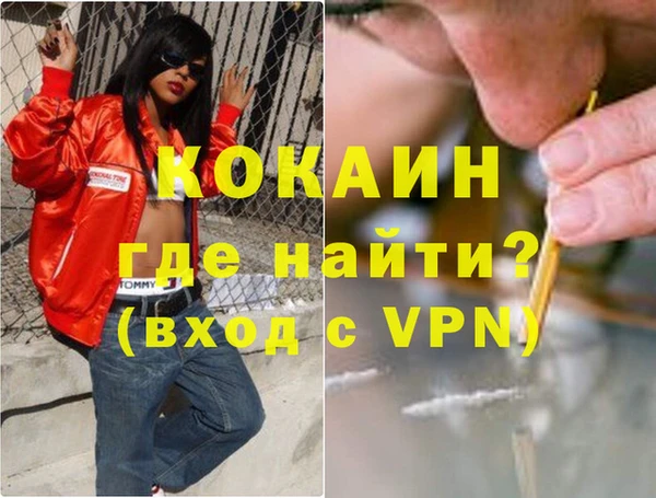 mdpv Бородино
