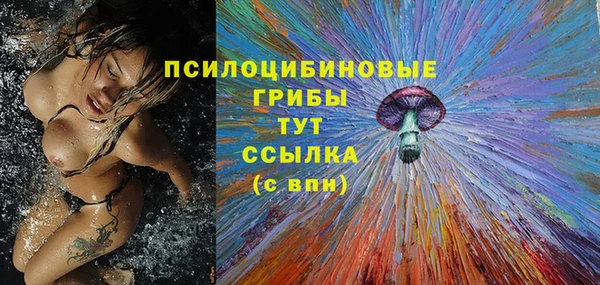 индика Верея