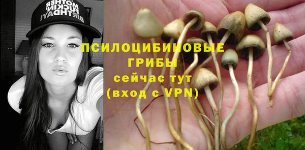 бутират Богородск