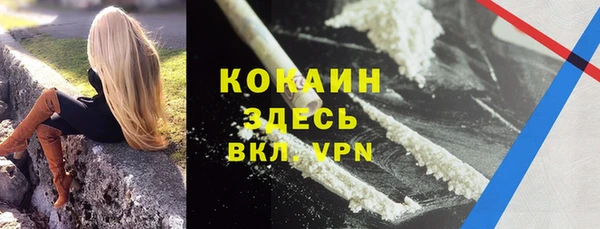 mdpv Бородино