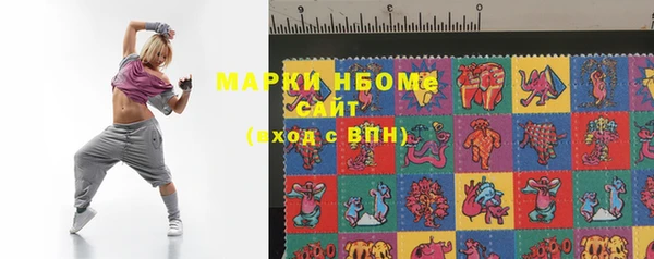 индика Верея
