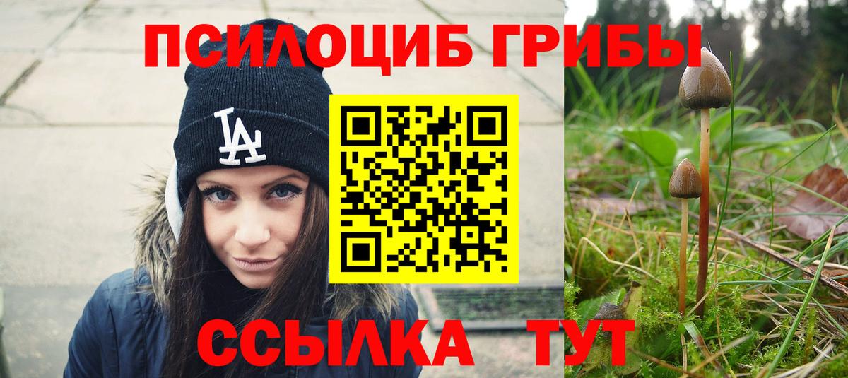 Псилоцибиновые грибы мухоморы Наро-Фоминск